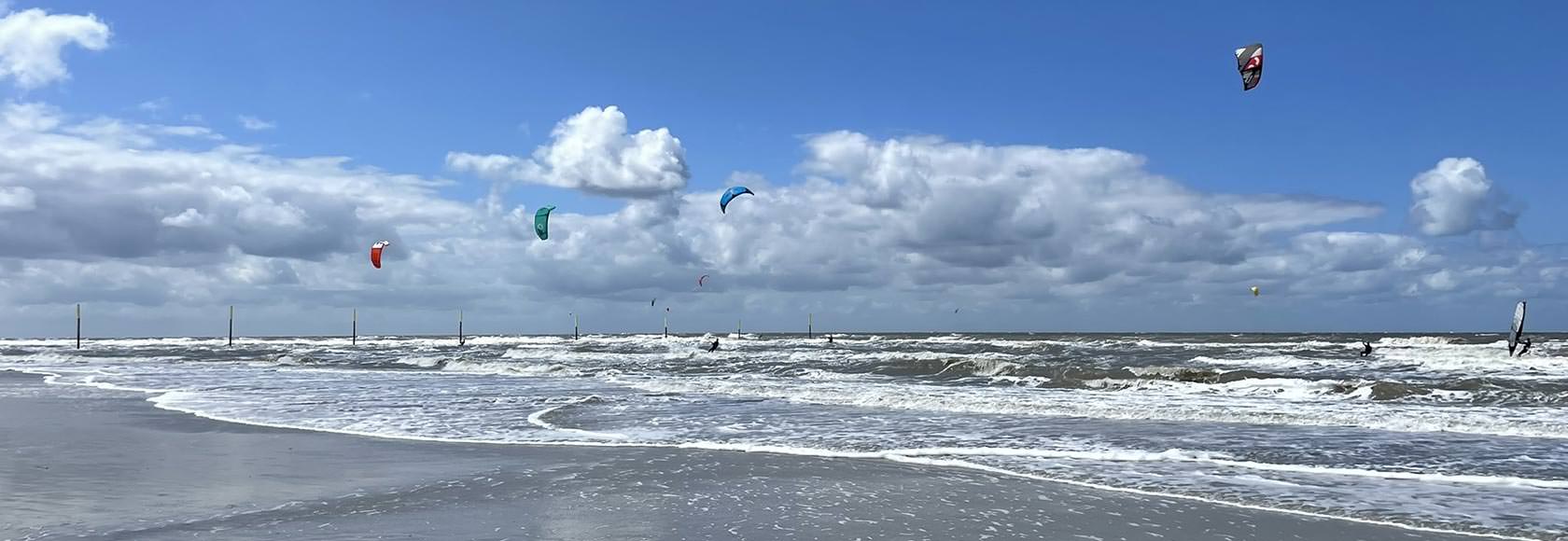 Windsurfer
