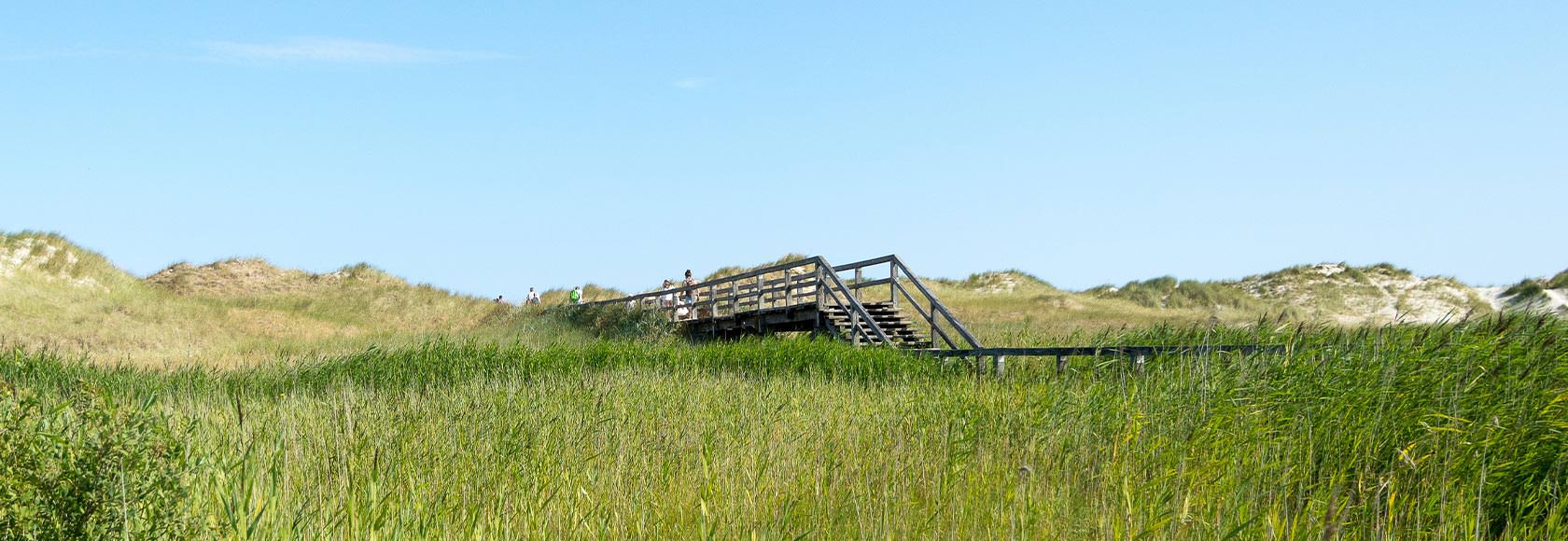 Brücke